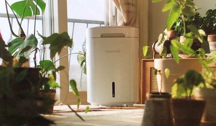 Compostador eléctrico Reencle en interior minimalista — silencioso, sin olores, sin jardín